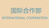 国际部